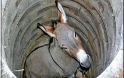 Osel, kmet in vodnjak.