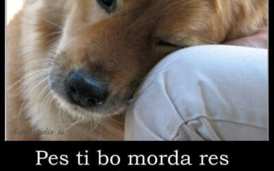 Duhovno poslanstvo vašega psa